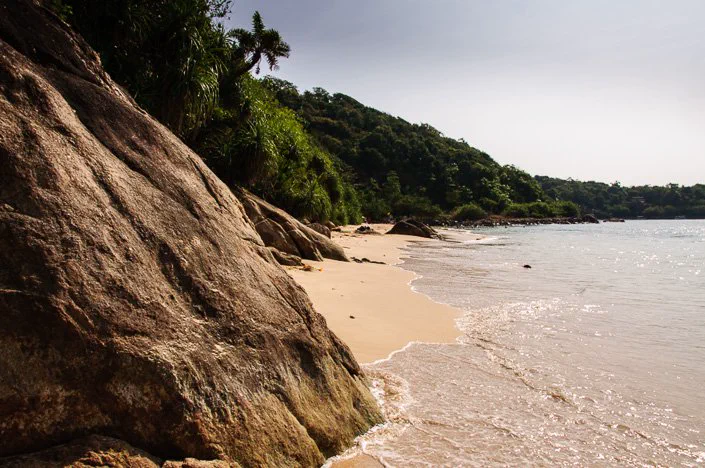 Jungle Beach
