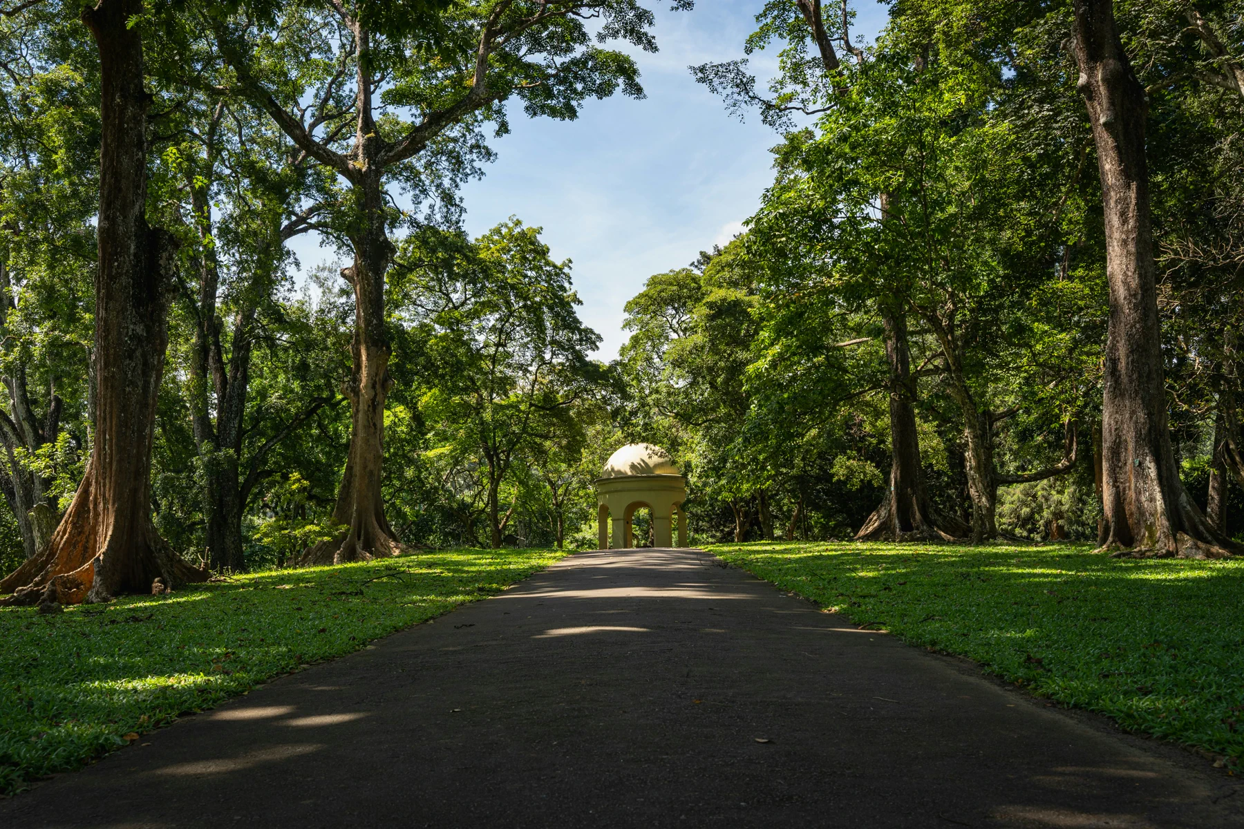 Royal Botanical Gardens in Sri Lanka