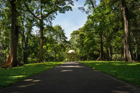 Royal Botanical Gardens
